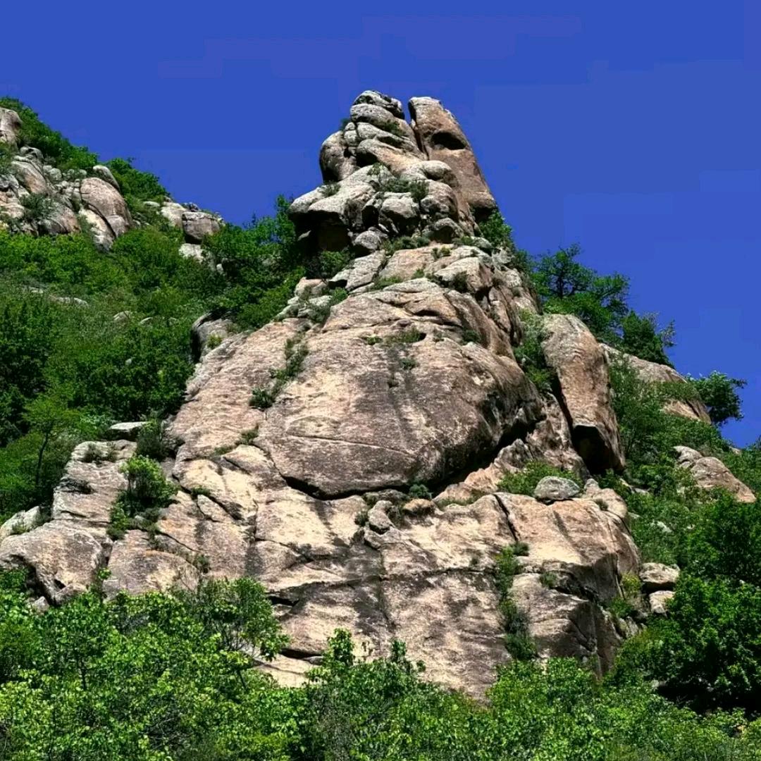 关注我老黄谢谢