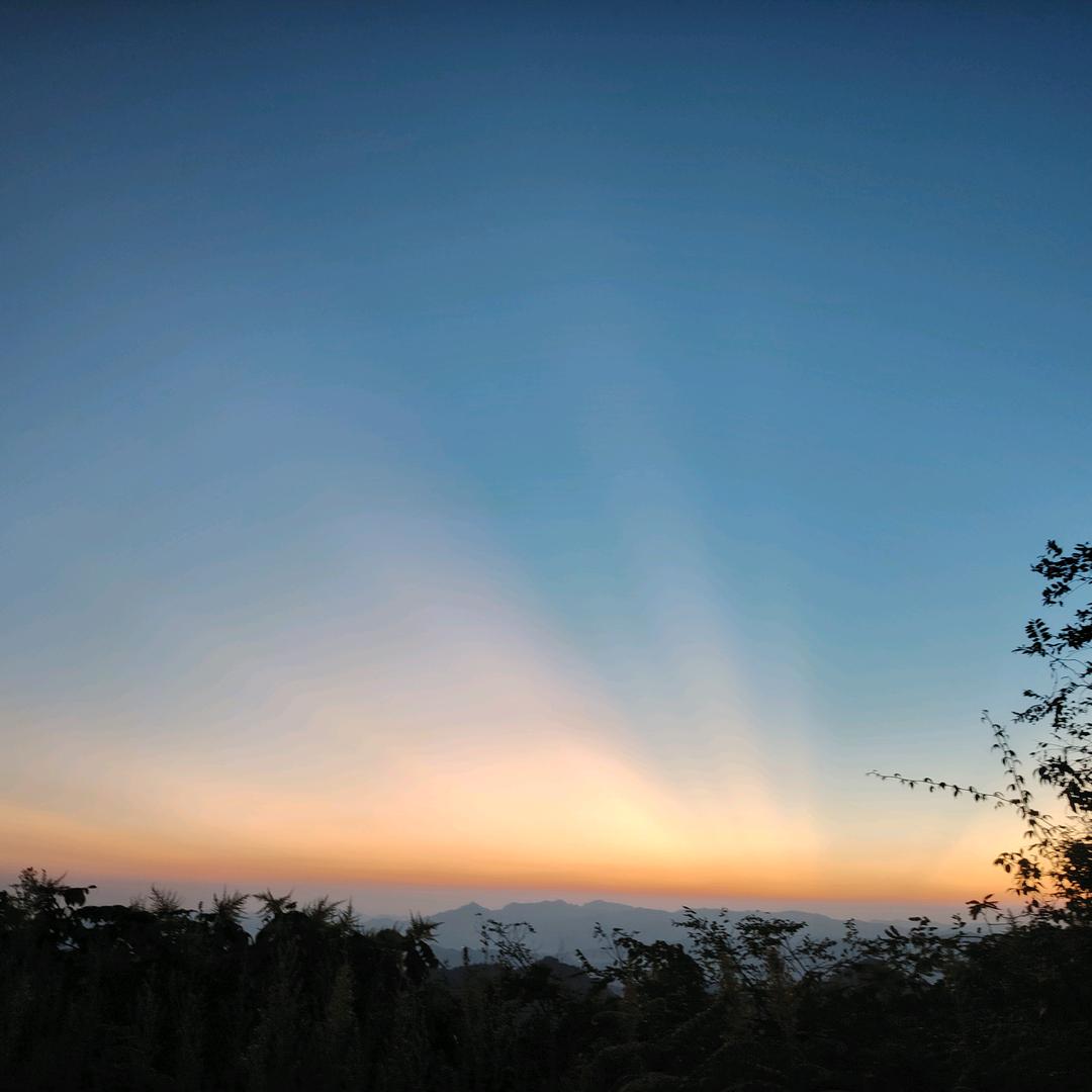 真爱服务～静姐