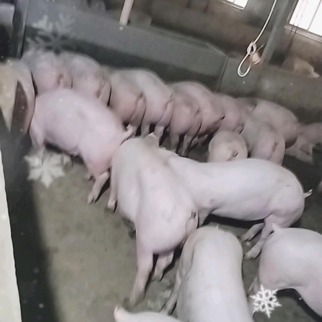 站的高看的远