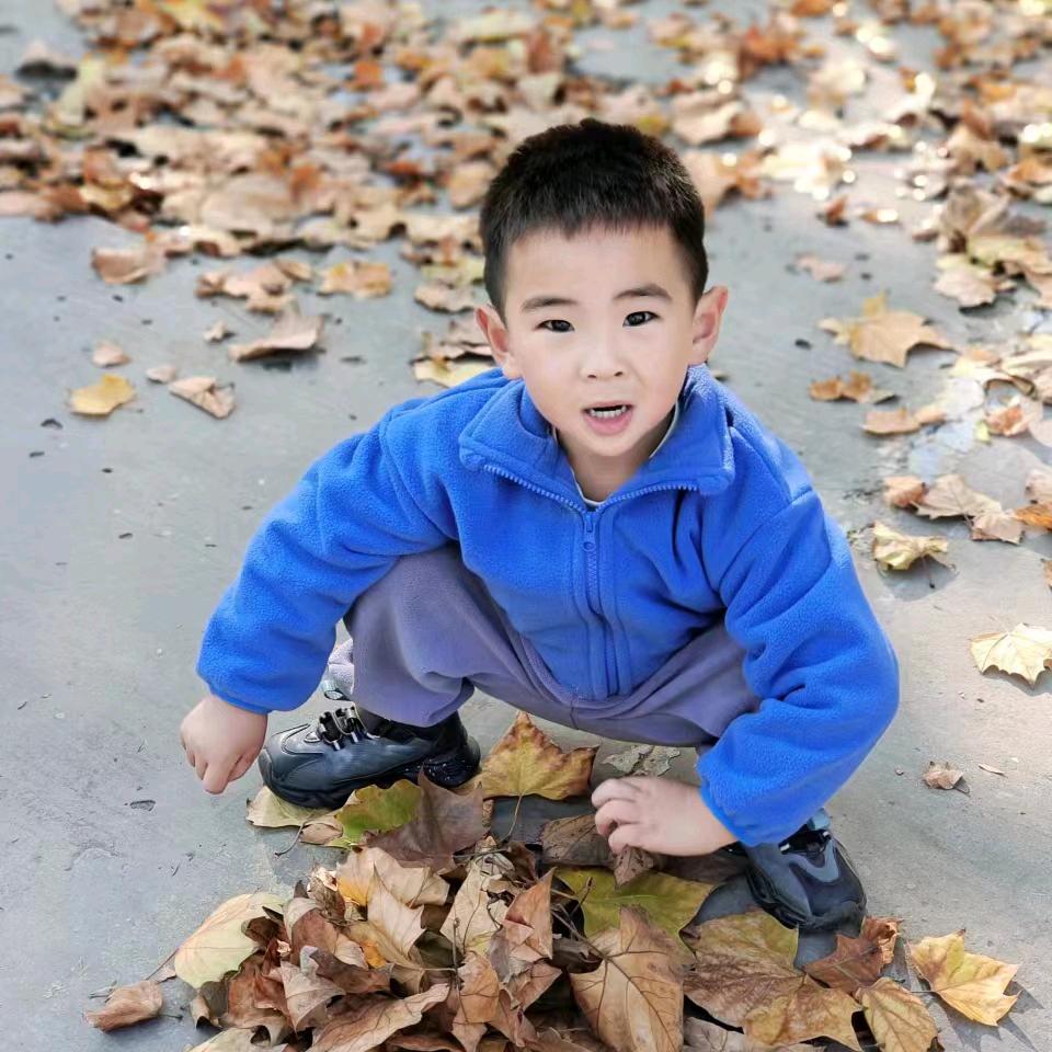 张少