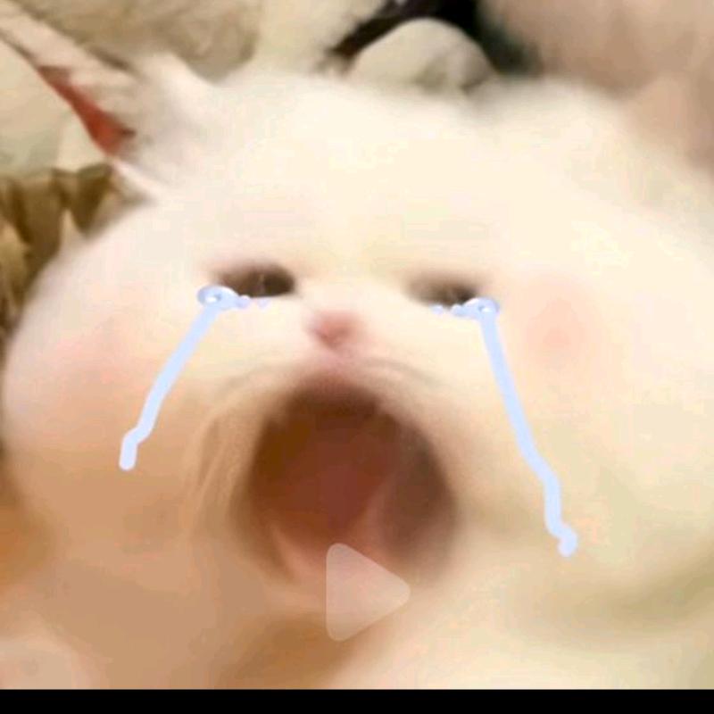 桃子