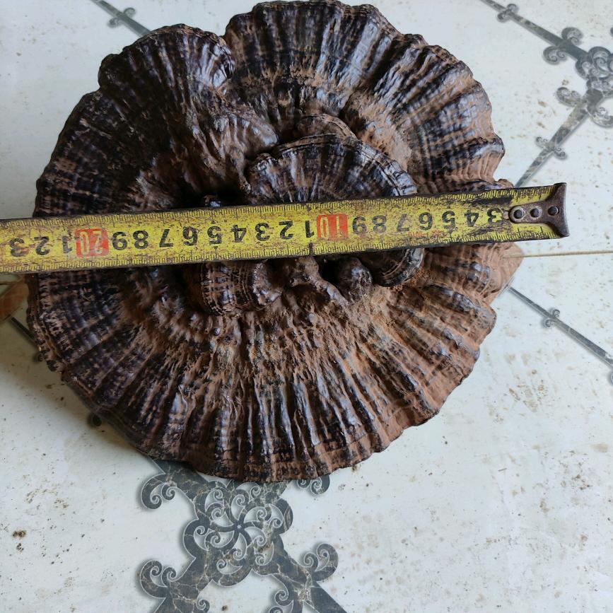 承银特色小铺子