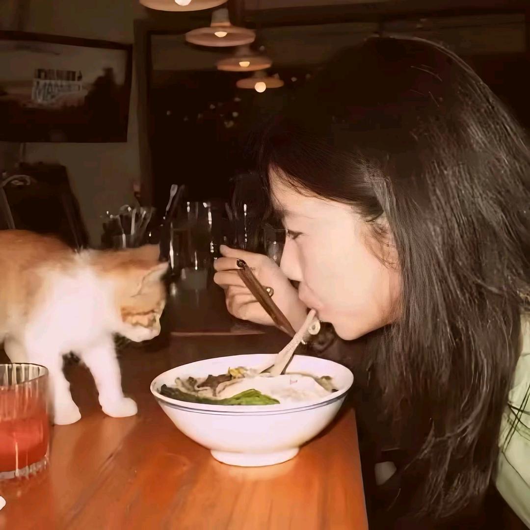 炸毛小猫