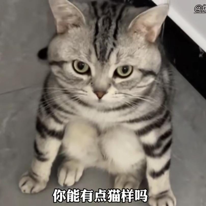 偷吃小蛋挞🥰