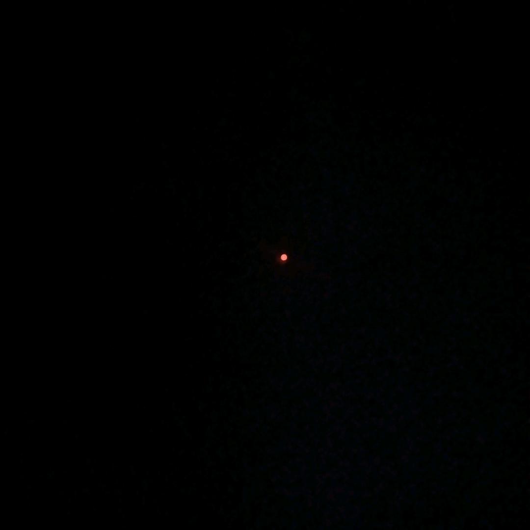 蒋老白 字 恩莱