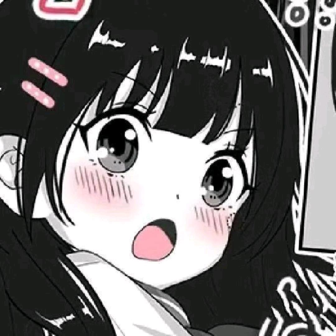 音体美