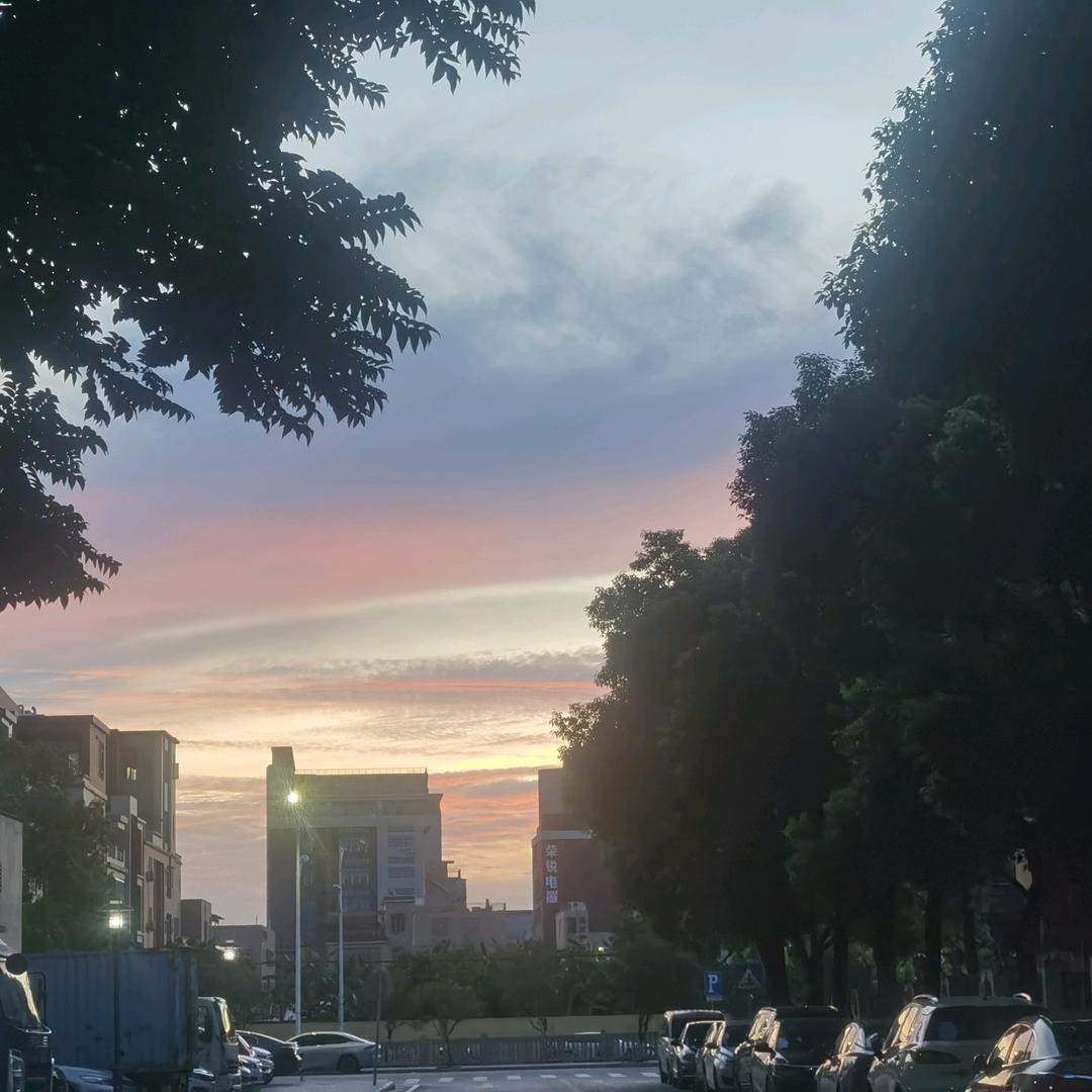 没有偶然，只有必然