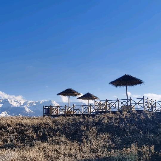 梦动上海诤炎创意局