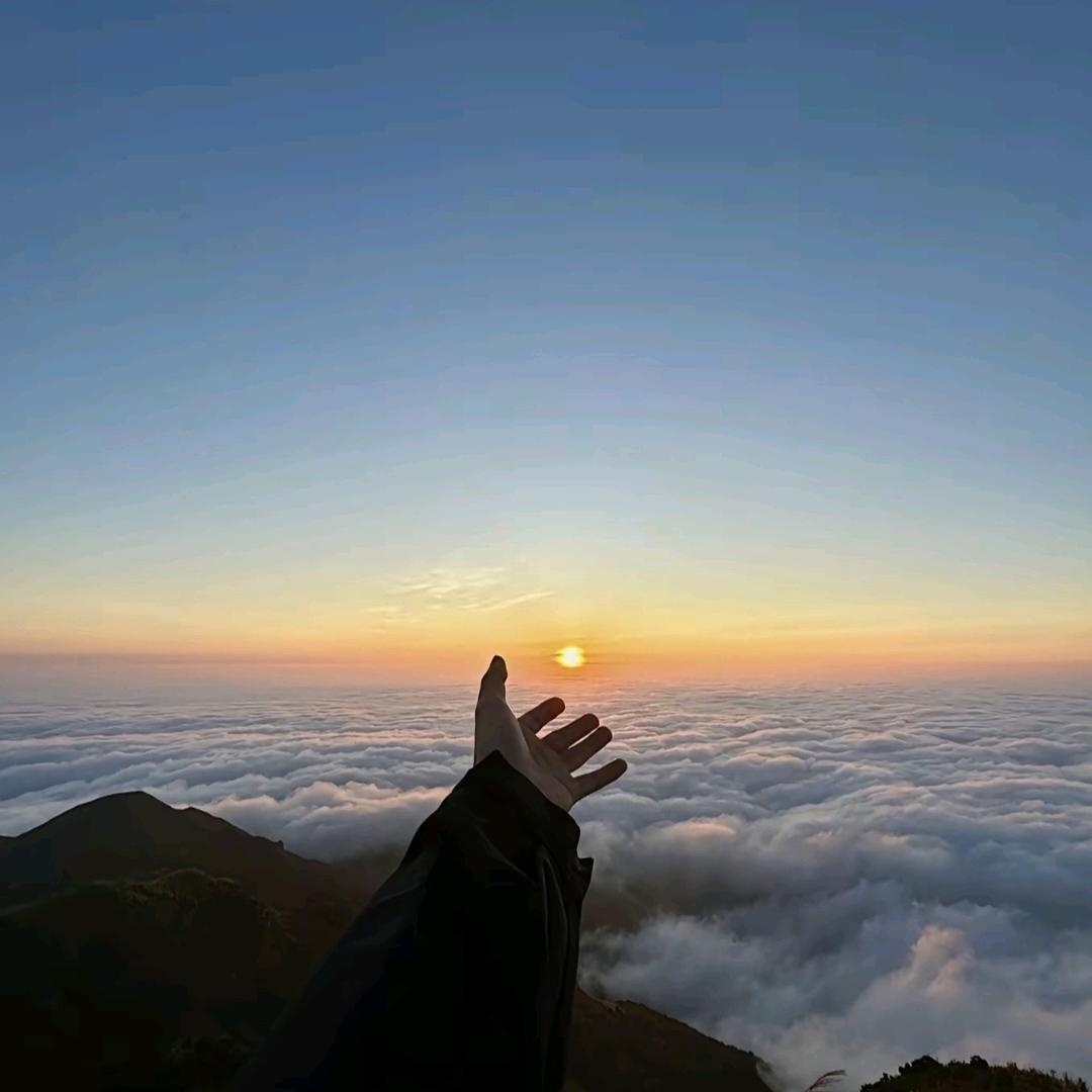 叮咚咚