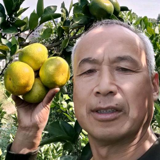 湖南湘娃子