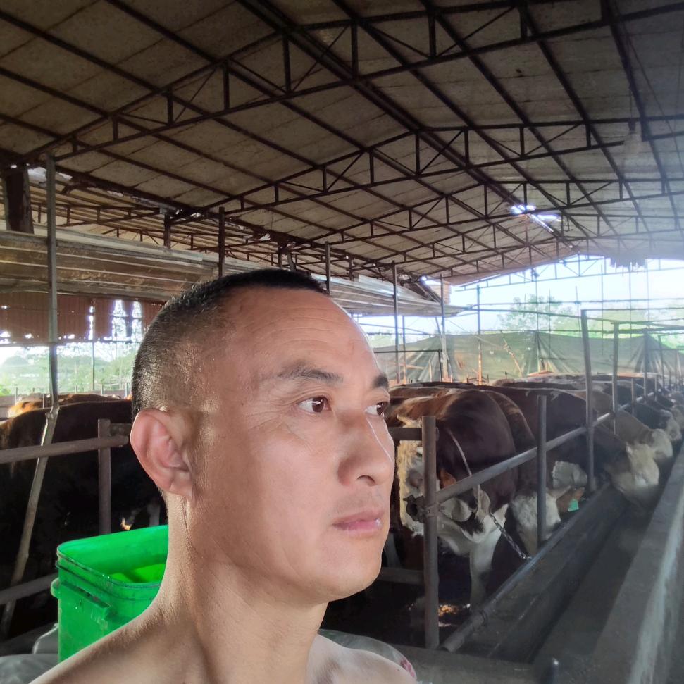 🐮保姆贾哥