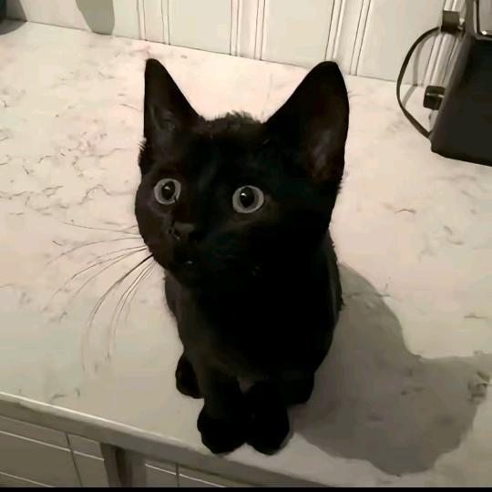 .林.