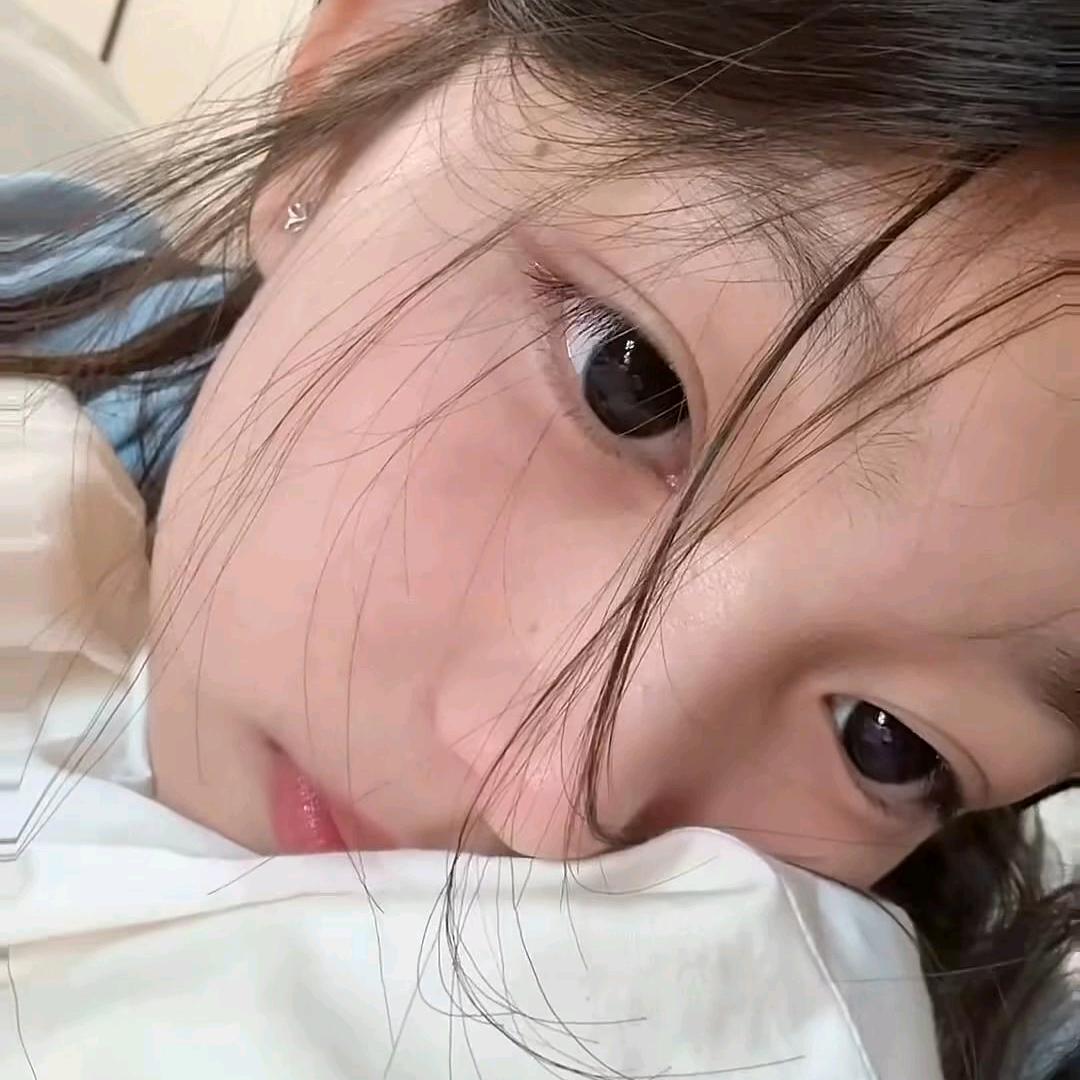 哈儿