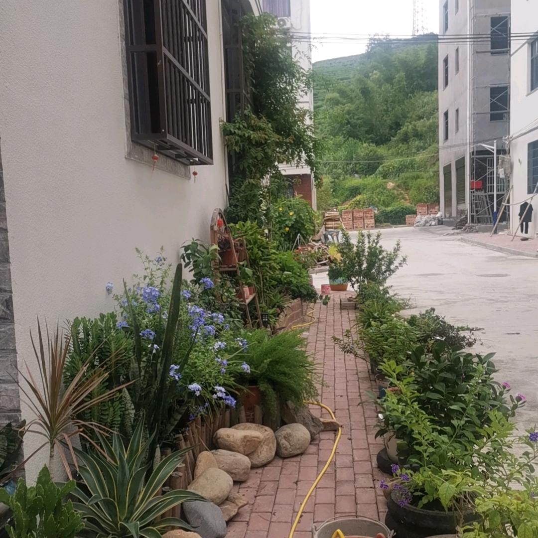 咸村百灵女子乐队