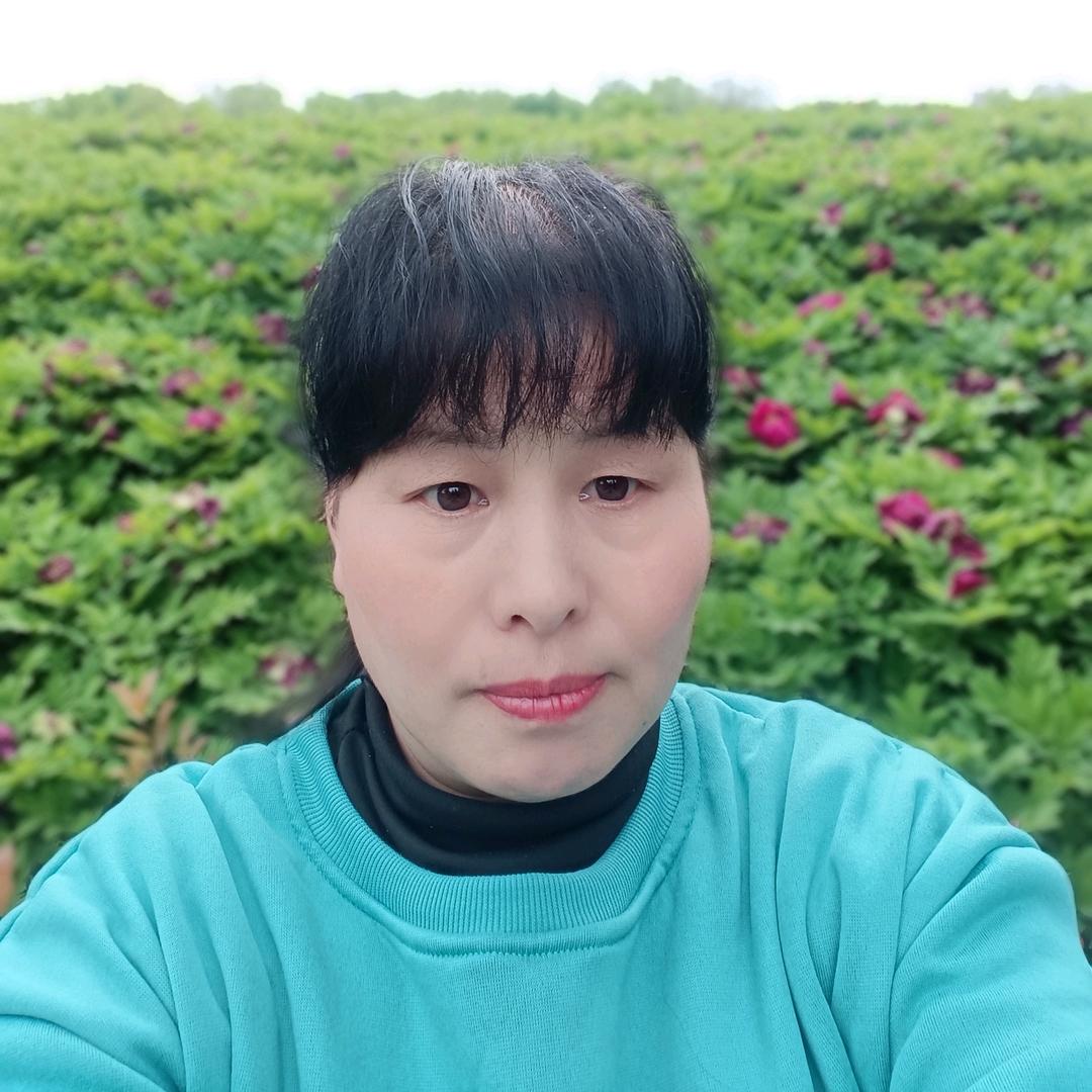 白鹿塬