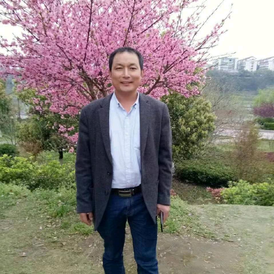 钞票如雪