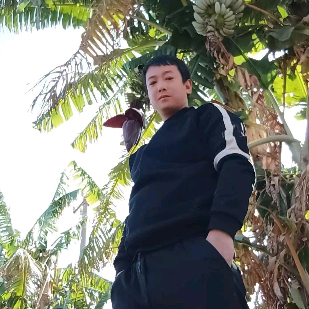 河南小伙