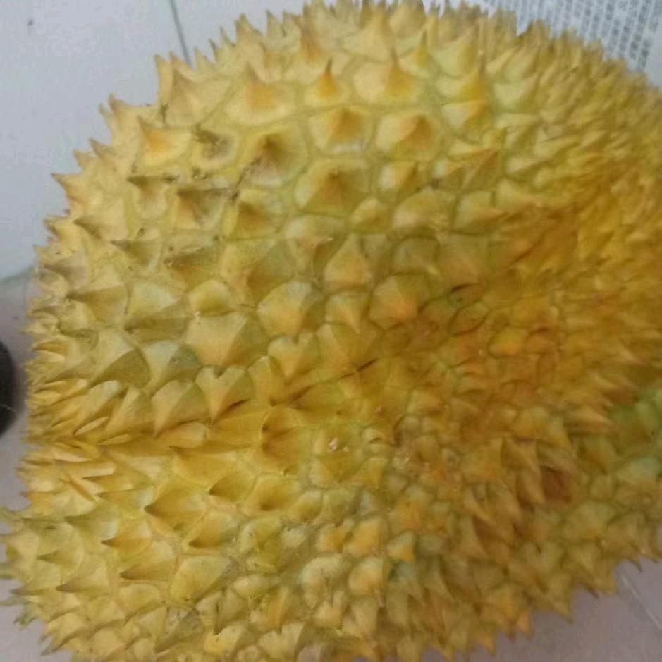 👑👑飞黄腾达💰💰