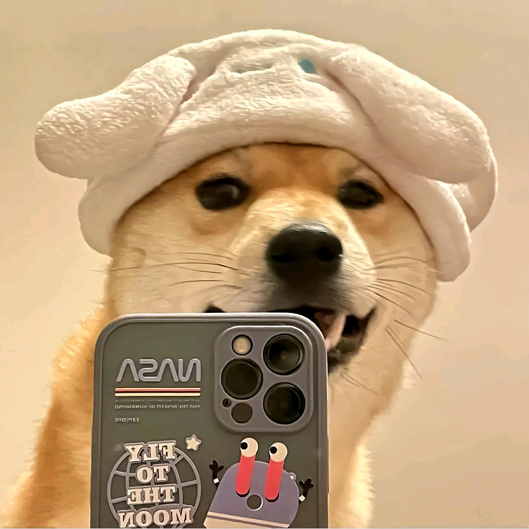 难忘.