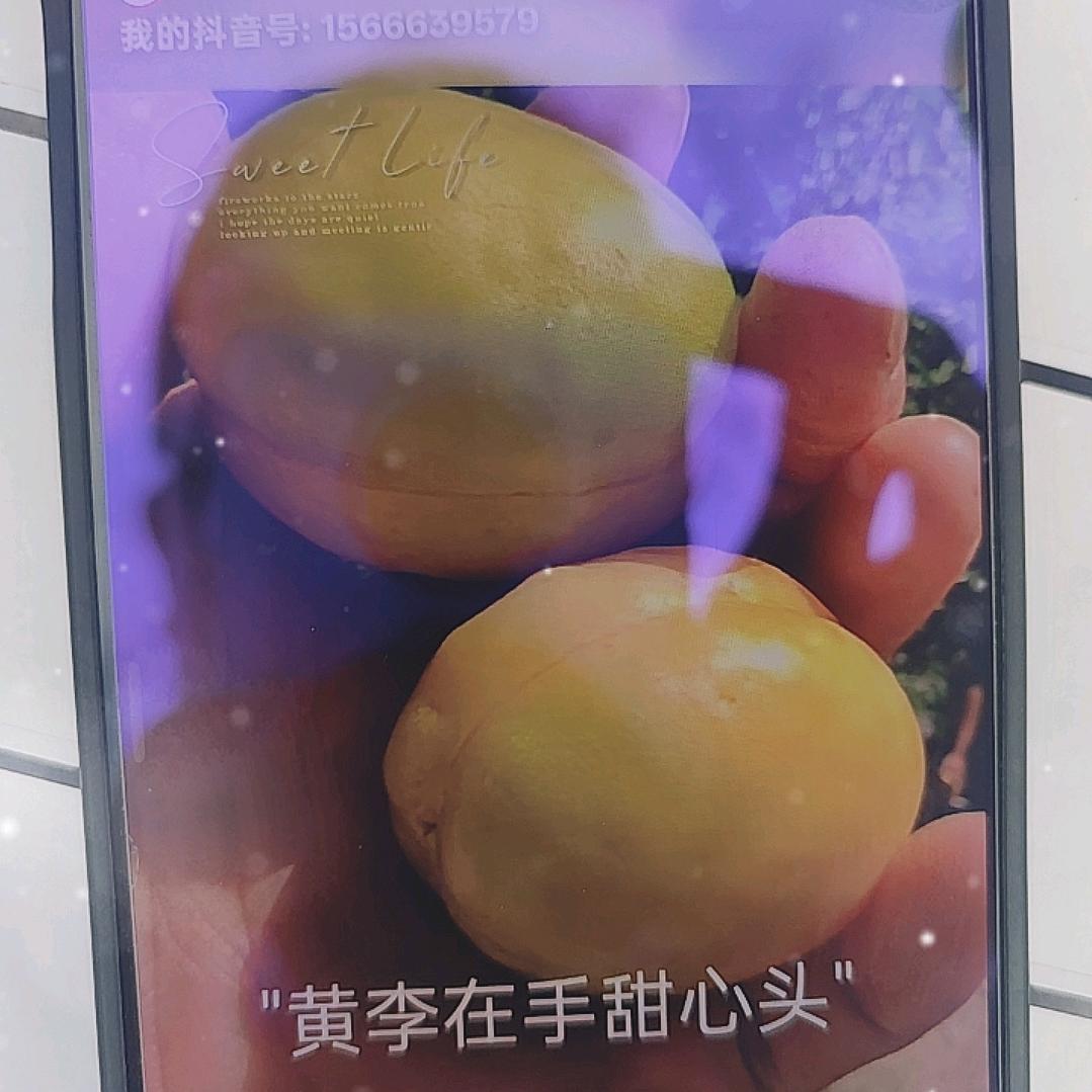 沙漠骆驼❤️水果