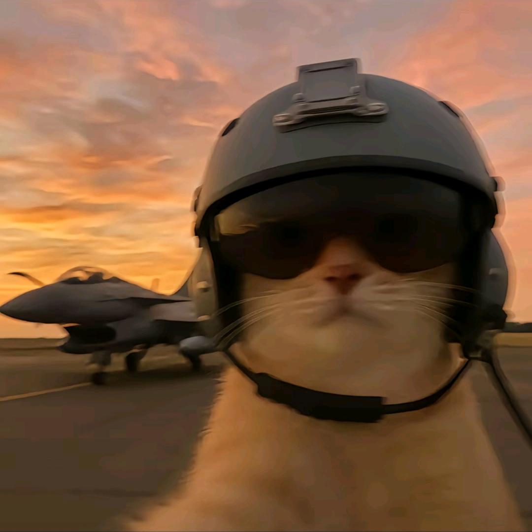 普普普普普信男