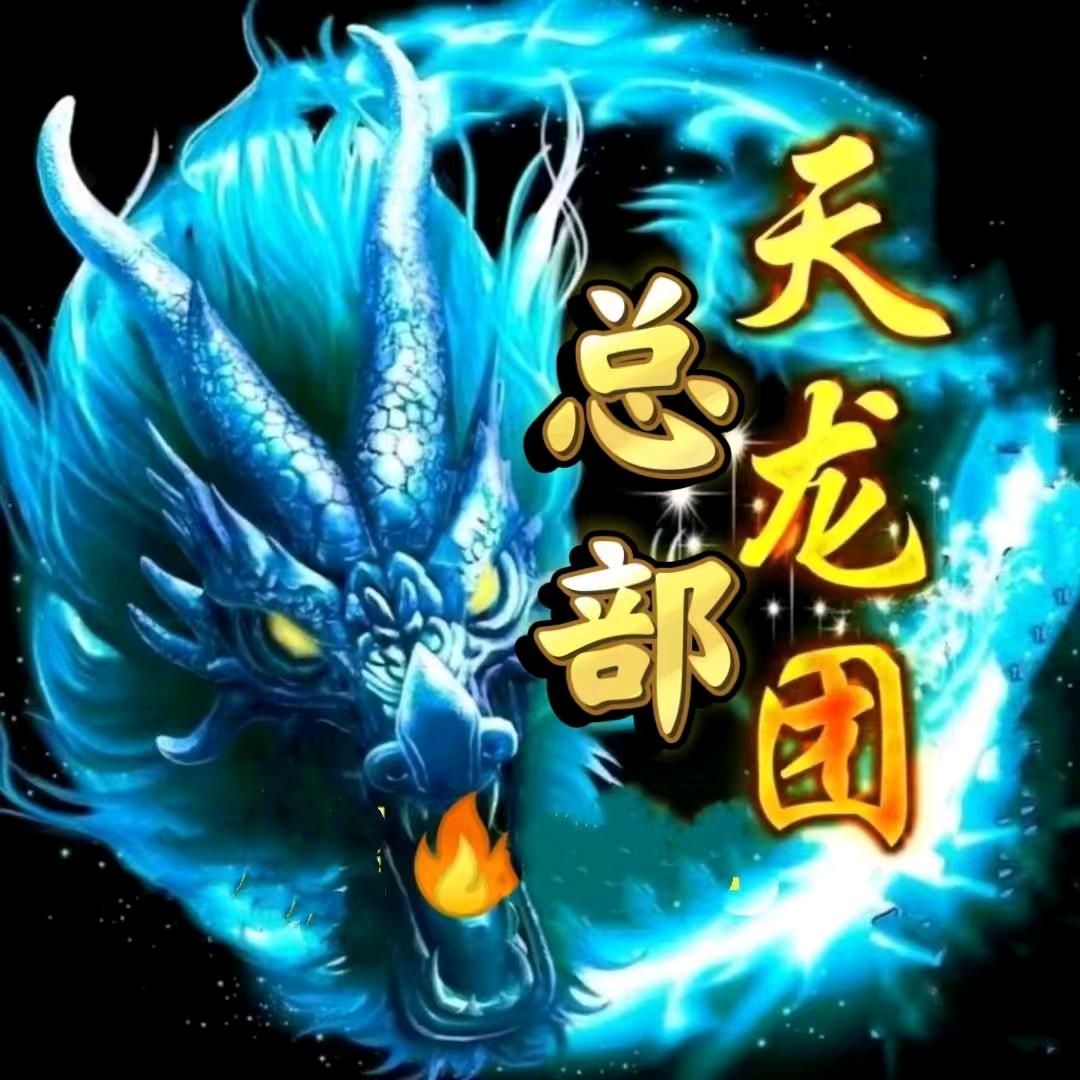 天龙团🔥总部