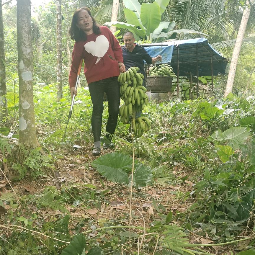 高高兴兴平平安安12