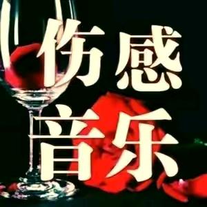 🎶伤感音乐&🌹
