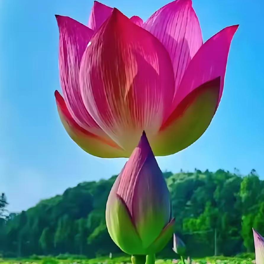但