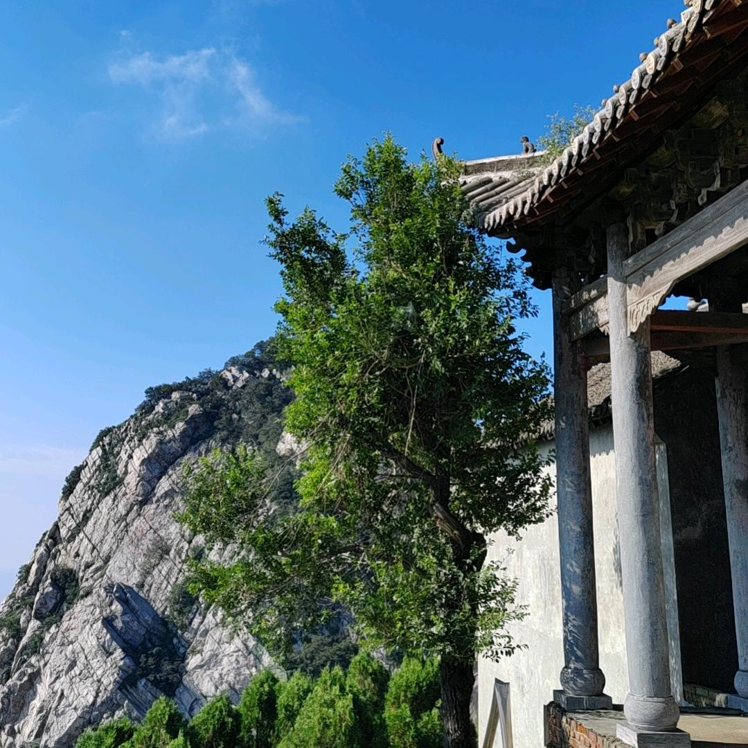 🐲龍鳳缘🐲领路人🤓人师