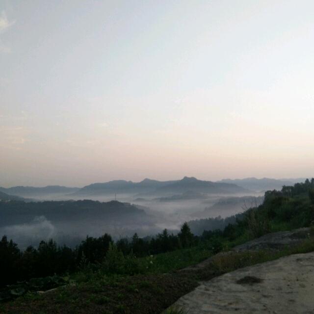 随心所愿