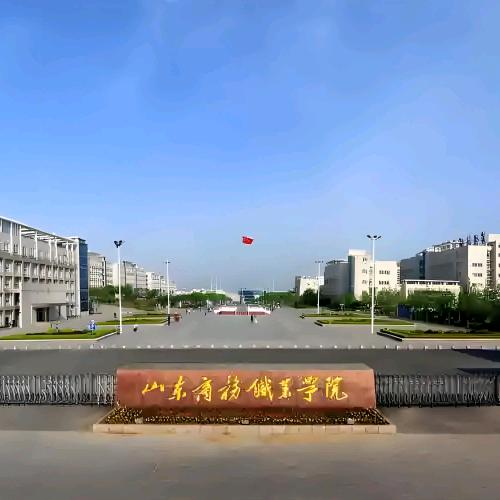 山东商务小L