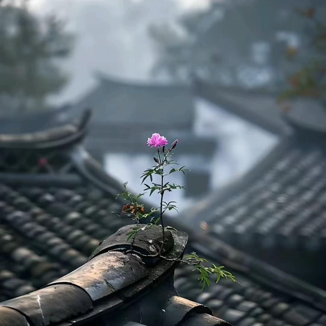 小军好物168