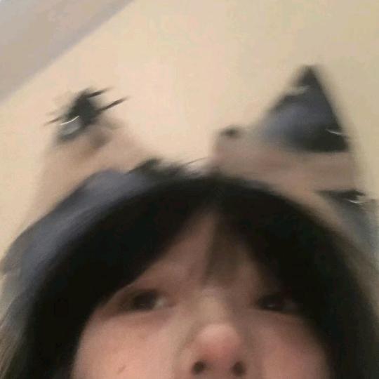 七七吃不胖