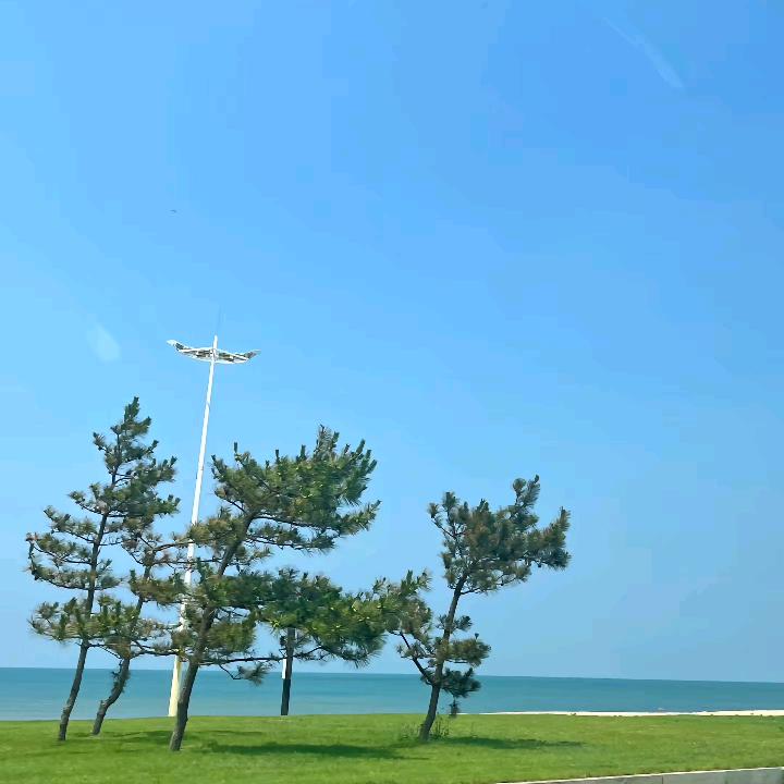 醉梦清醒