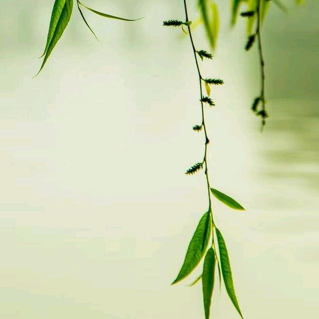 沉思翰藻