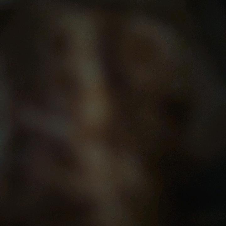 猪“猪