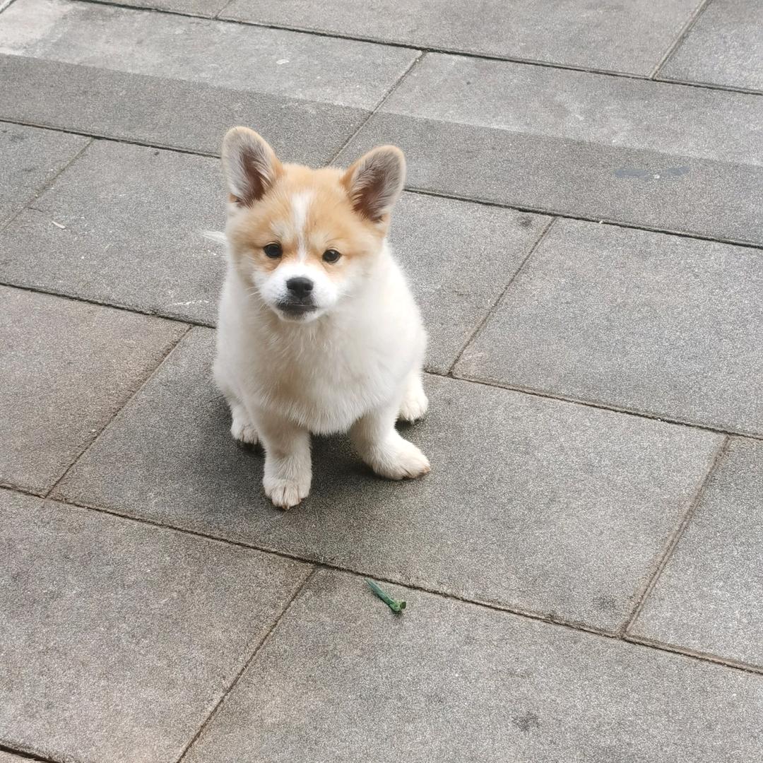 昆明彩钢瓦配件（长城瓦）