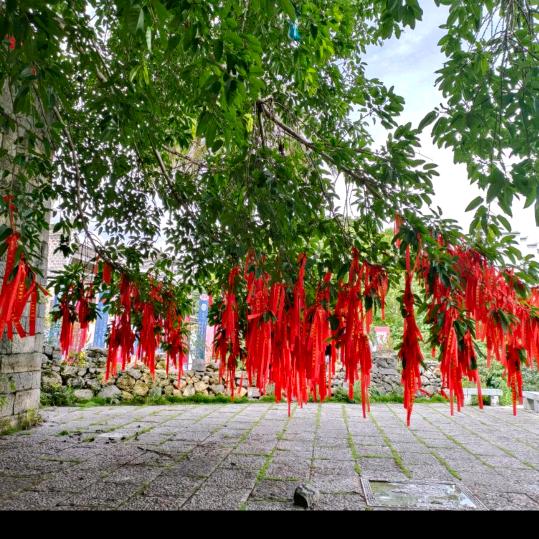 打了就跑🌹🌹💐💐💐☘️