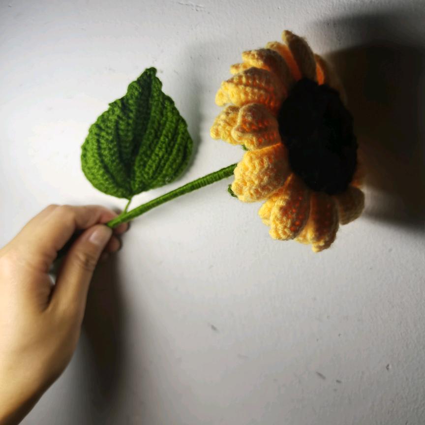 小橘子玩毛线🧶