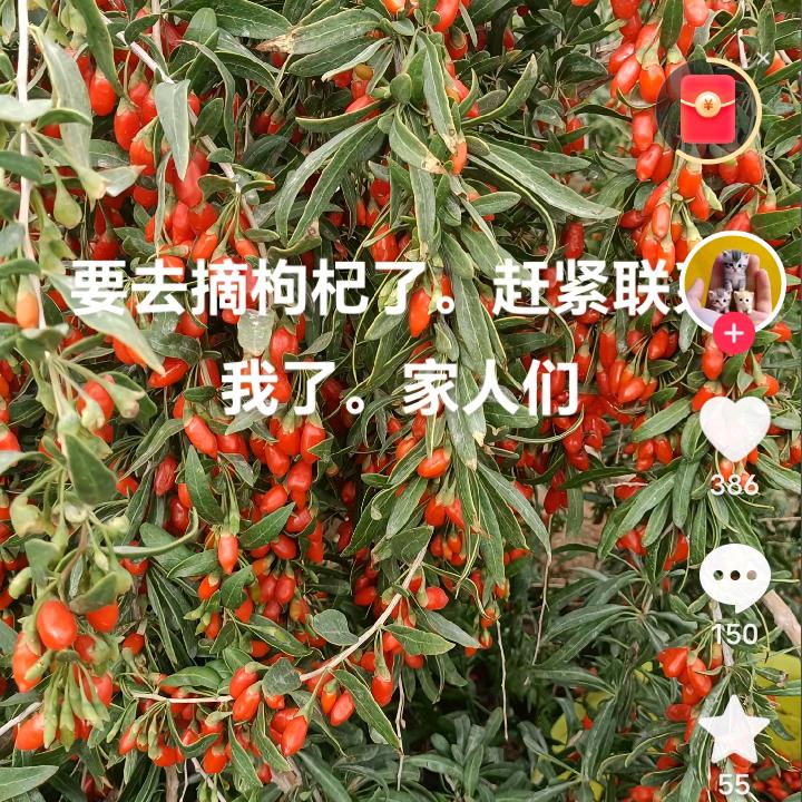 廖永俊