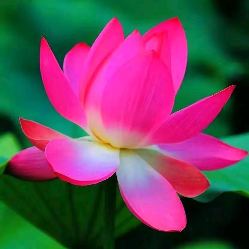 我是天天好心情