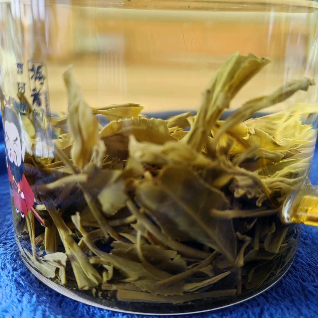 黄豆芽
