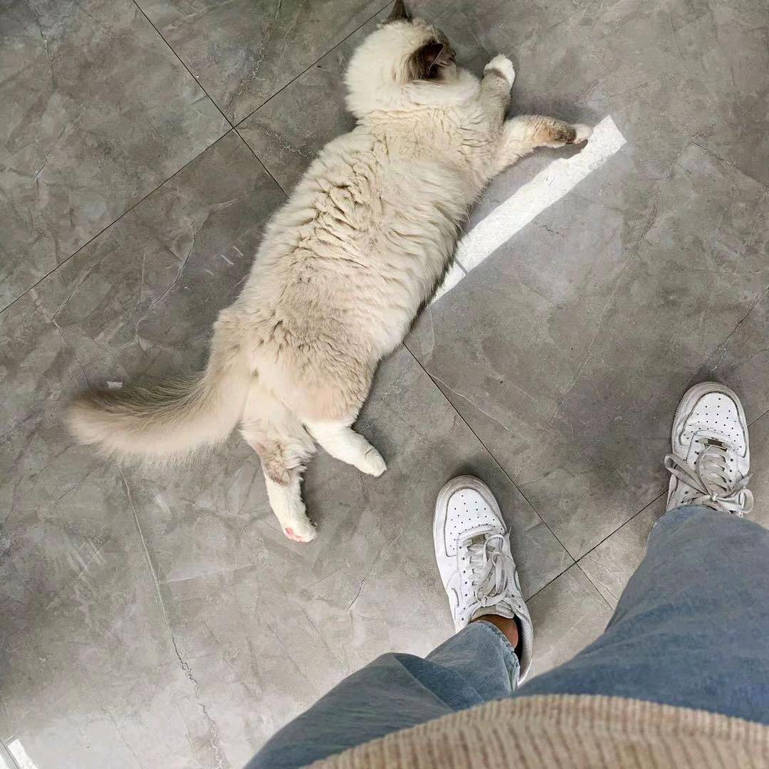 7️⃣