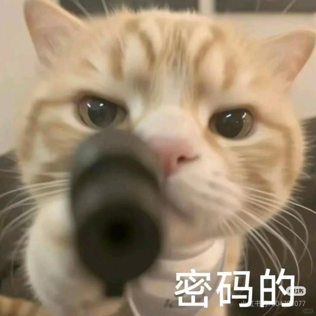 在下毛毛雨！
