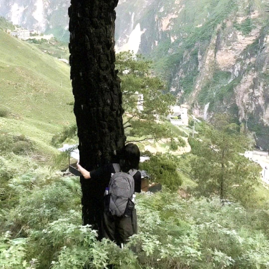 小梨涡画