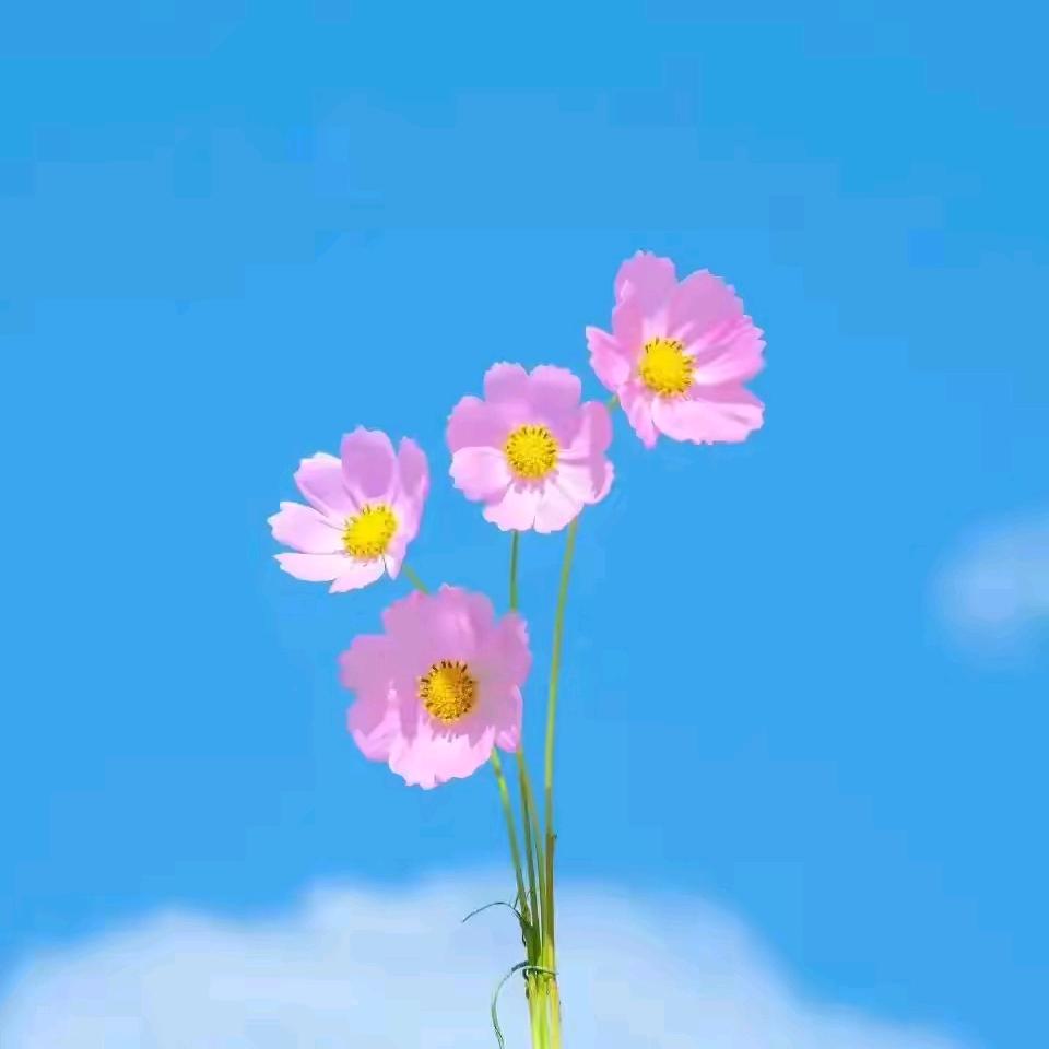 海尔电器-佳和店