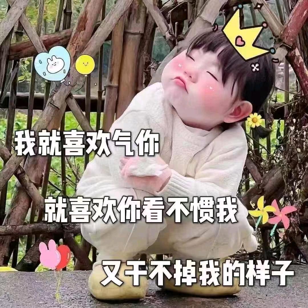 🍀毛毛