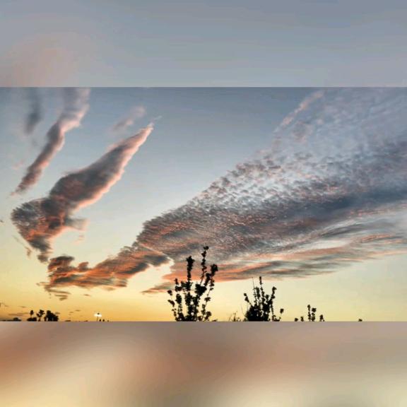 曝光哥（东山再起）