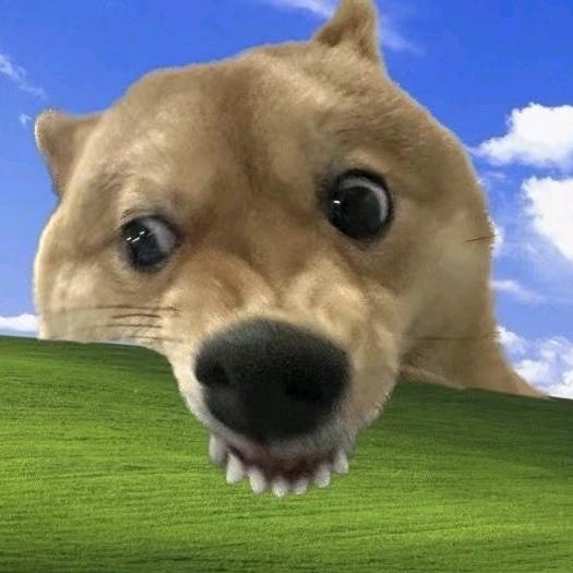 爱谛宠物医院新区春天店